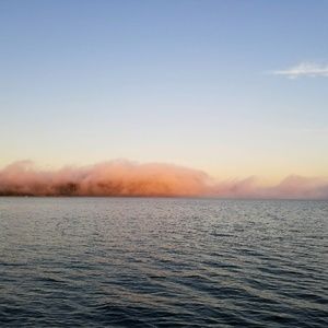 Meet your Posher, Rob